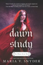 dawn-study2